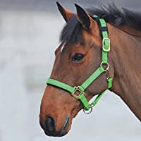 Shires Topaz - Cabestro para caballos